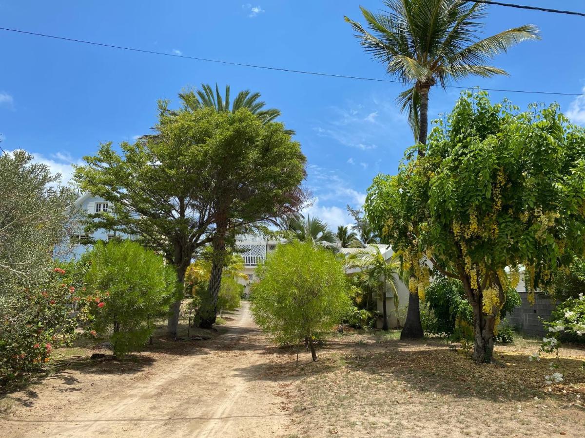 Villa & Bungalow 'Coco Des Sables' Les Pieds Dans L'Eau La Saline Le Bains Eksteriør bilde